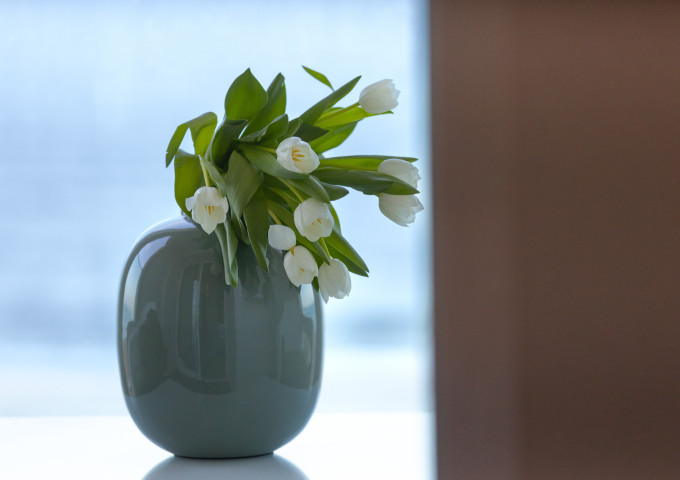 media.5055-2000x1333