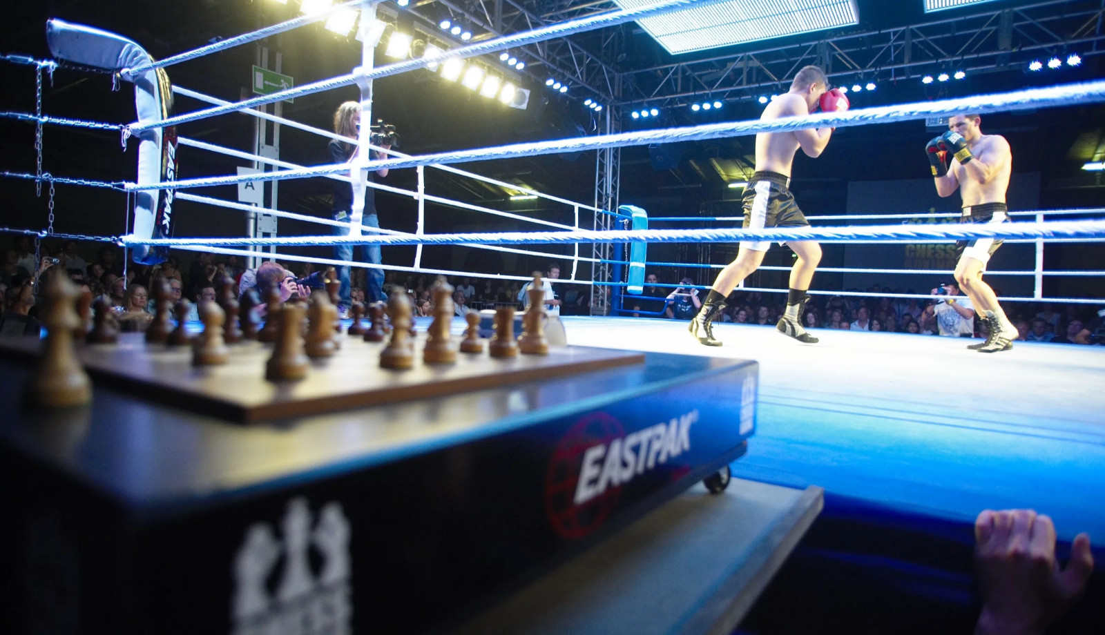 media.hotel-tiffanys-riccione-campionati-mondiali-chessboxing-scacchi-pugilato-riccione