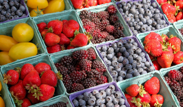 media.fiera macfrut rimini offerta hotel riccione