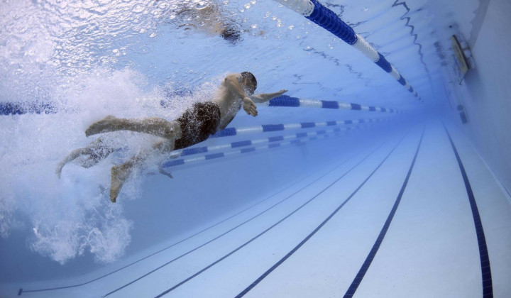 media.swimmers-79592_1920